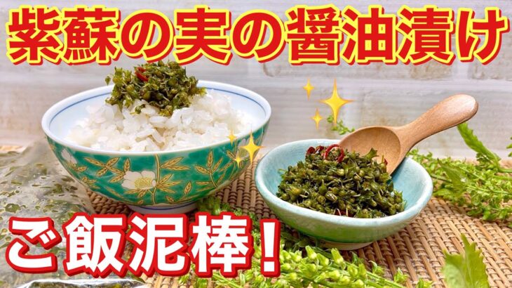 紫蘇（大葉）の実の醤油漬けの作り方♪プチプチ食感と紫蘇の実の爽やかな香りでご飯が最高にすすみます。密閉袋で簡単に出来長期保存も可能です。