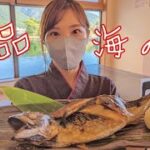 【福井県丹生郡ランチ】海の幸食処えちぜん　恐竜の国チャンネルオマージュ動画【方言：ハイブリッド福井弁】