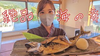 【福井県丹生郡ランチ】海の幸食処えちぜん　恐竜の国チャンネルオマージュ動画【方言：ハイブリッド福井弁】