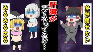 【なぜか太る人はこれ】肝臓が悪くなってる人が痩せない理由とは…？【ゆっくり解説】