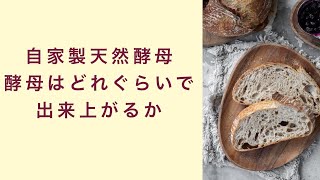 【自家製天然酵母】酵母はどれぐらいで出来上がるのか　起業　コーチング　コンサルティング　オンライン講座