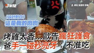 歐告護食「香噴噴烤雞」爸一伸手秒亮牙：不准吃😡｜寵物動物｜狗狗｜精選影片