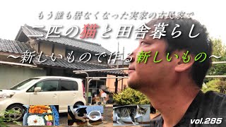 【フカセンvlog285】我が家の新入り／新発想で変える食生活／甘えん坊のマオマオ／告知／もう誰も居ない実家の古民家で保護猫マオランと一人田舎暮らし。