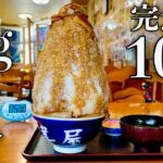 【大食い】10年間で完食率1割の『富士山盛り肉丼（総重量3kg）』を制限時間5分で早食いチャレンジした結果…【デカ盛り】