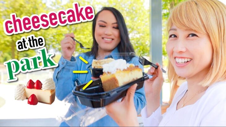 甘すぎるアメリカのチーズケーキ🤤❤️ 公園でゆる〜く食レポ😆〔#1045〕