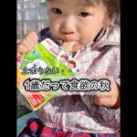 離乳食完了期になり1日3食食べますが、1歳だって食欲止まりません！当時大好きだった”こどもスムージー”