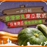 2022萬聖節  一片介紹香港常見南瓜品種 | #食字典 |  #ViuFood