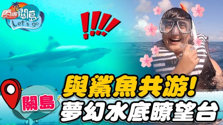 【關島】與鯊魚共游！ 夢幻水底瞭望台【食尚玩家2天1夜go】20221026 (2/3)