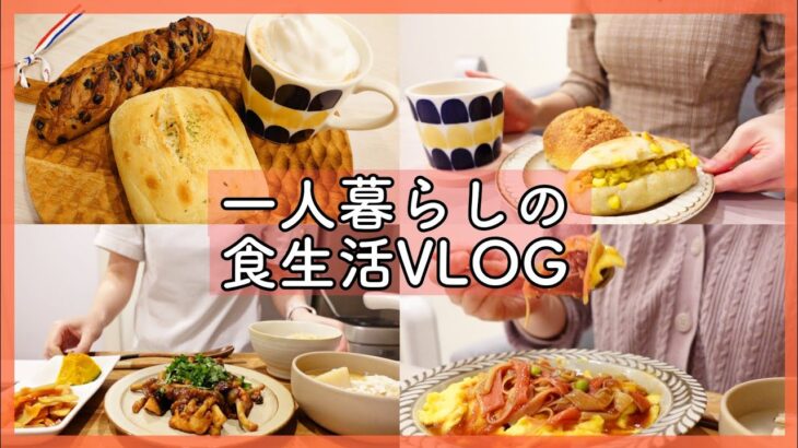 ついに買ってしまいました…2【一人暮らしの食生活VLOG】