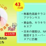 【週刊未来食講座43/52】南米産まれの雑穀たちについてヴィーガン歴40年の著者が語る　#vegan #ヴィーガン