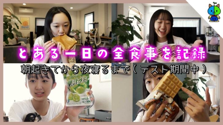 【もも食】テスト期間✏️朝起きてから寝るまで！JKももかの食事を全部記録♪🍙【女子高校生】