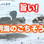 【海のごちそう】有明海の食文化のバトンをつなげるために 日本財団 海と日本PROJECT in ふくおか 2022 #22