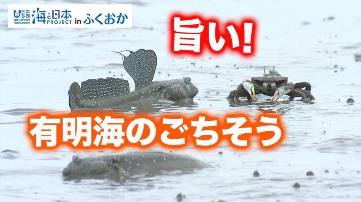 【海のごちそう】有明海の食文化のバトンをつなげるために 日本財団 海と日本PROJECT in ふくおか 2022 #22