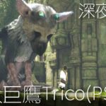 【食人巨鷹TRICO】牠是狗還是貓？應該不是老鷹吧？ | 🔴直播 (The Last Guardian) (2022)