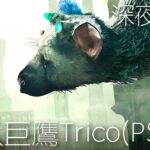 【食人巨鷹TRICO】不斷地往上爬就對了 | 🔴直播 (The Last Guardian) (2022)