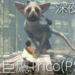 【食人巨鷹TRICO】克服自身恐懼的食人巨鷹 | 🔴直播 (The Last Guardian) (2022)