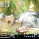 【食人巨鷹TRICO】大結局會讓人流淚嗎？ | 🔴直播 (The Last Guardian) (2022)