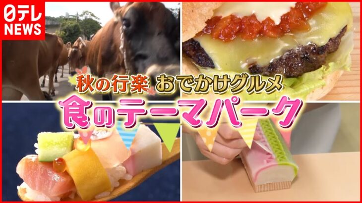 【秋のグルメ天国】練り物＆牧場！大人気”食のテーマパーク”『news every.』18時特集