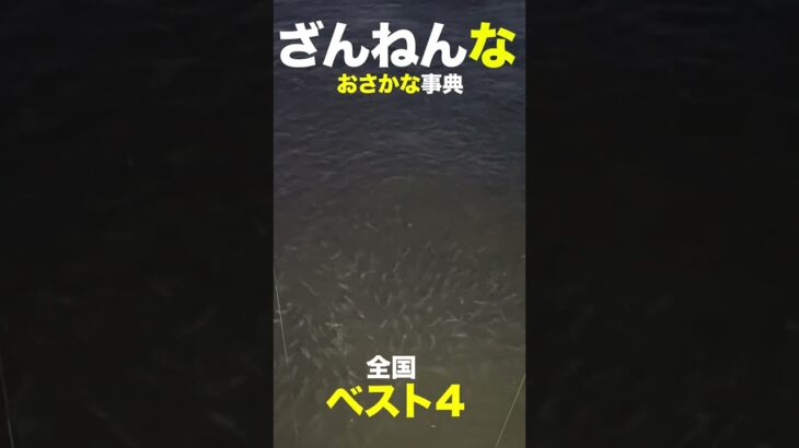 食生活に難があるおサカナ………［残念なお魚事典］（unfortunate fish）