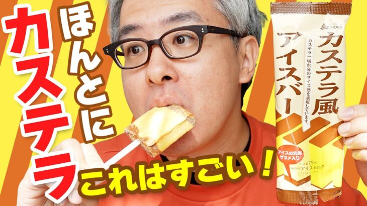 これは新食感！まじでカステラだから一度食べてみて！赤城乳業 カステラ風アイスバー！