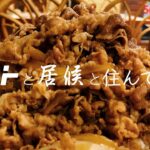 【すき家の裏メニュー】キング牛丼完食した