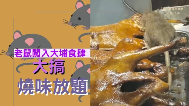 老鼠闖入大埔食肆 大搞燒味放題