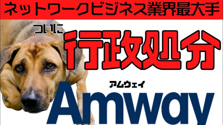 日本アムウェイがついに行政処分に！【マルチ商法 副業 ネットワークビジネス 勧誘 切り抜き】