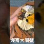 速食爆膏大閘蟹