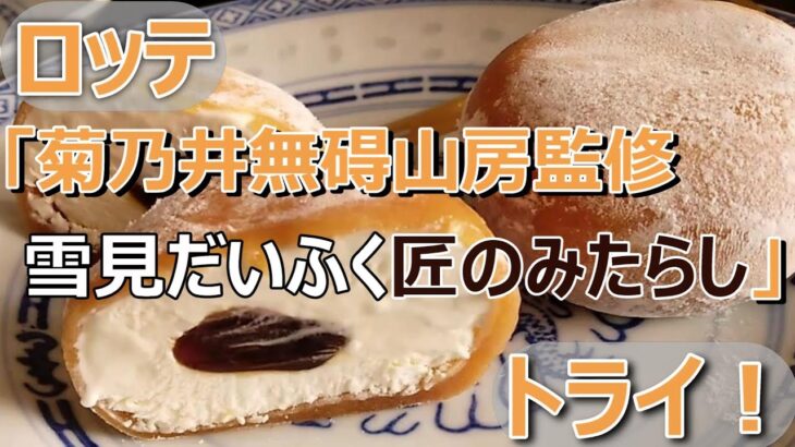 【実食】ロッテ「菊乃井無碍山房監修 雪見だいふく匠のみたらし」甘じょっぱい みたらしソースがバニラと相性◎