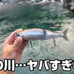 このビッグベイトを投げたら無限に食われる渓流がヤバすぎた。