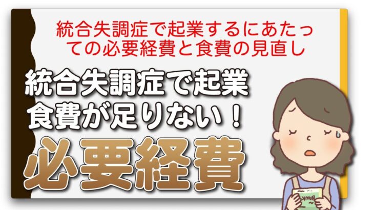 統合失調症で起業するにあたっての必要経費と食費の見直し