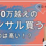 ゼロイチ起業で100万越えのコンサルは高い！？