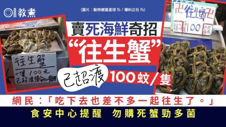 街市熱話｜往生蟹100元已超渡安心食？蟹死後菌激增高溫煮無法滅