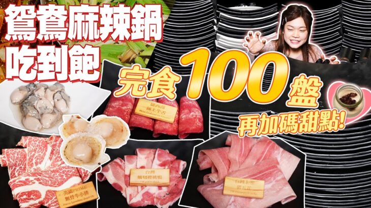 吃到飽火鍋開箱！大胃王小慧完食100盤再加碼甜點！｜@小慧就愛吃🤤  eating challenge｜大食い｜mukbang｜먹방｜eating show