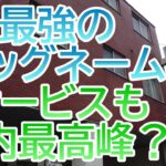 富山駅近くで屋根付き駐車場が無料　日本ビジネスホテル～富山県富山市～　おすすめビジネスホテル129泊目