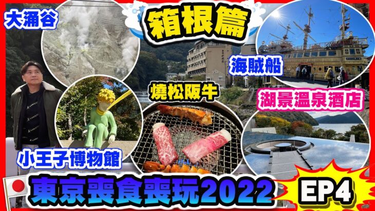 【東京喪食喪玩2022 EP4 箱根篇】箱根兩日一夜必去景點 交通路線全攻略 | 大涌谷火山 小王子博物館 海賊觀光船 強羅公園 湖景溫泉酒店 入口即溶燒松阪牛 | 箱根旅遊