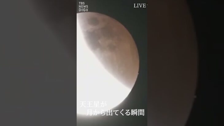 【天王星が出てくる瞬間】皆既月食 × 天王星食　次に見られるのは213年後！｜TBS NEWS DIG #shorts