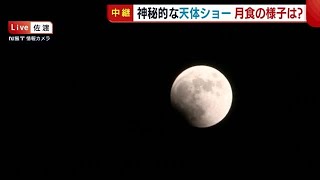 〈皆既月食〉神秘的な天体ショー！自然科学館では鑑賞会も（午後６時１０分ごろ）【新潟】 (22/11/08 18:33)