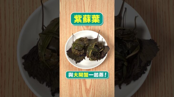 【大閘蟹煮法】食蟹季節又到！3大貼士食完不怕寒