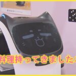 ネコ型ロボットや最新3Dプリンターも！最新のデジタル技術が集合　札幌で「ビジネスEXPO」開催