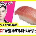 スシローも参入！日本の食を変える“培養シーフード”とは？吉富愛望アビガイルが解説【60秒で学べるNews】（2022年11月16日）