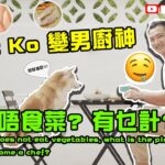 EricKo變身男廚神👨‍🍳狗狗唔食菜🥦? 有乜計?If the dog does not eat vegetables, what is the plan?EricKo become a chef？