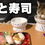 皆既月食を見ながら猫と寿司｜GoProとiPhoneのタイムラプスで撮影して画質を比較してみました。【皆既月食　2022】