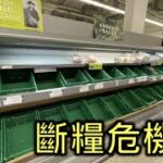 缺糧咁大件事？係Jersey能夠食到D乜全睇個天！｜每日都係三號風球下生活…｜澤西生活日常