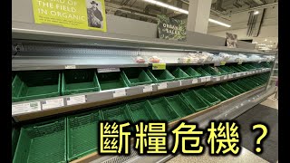 缺糧咁大件事？係Jersey能夠食到D乜全睇個天！｜每日都係三號風球下生活…｜澤西生活日常