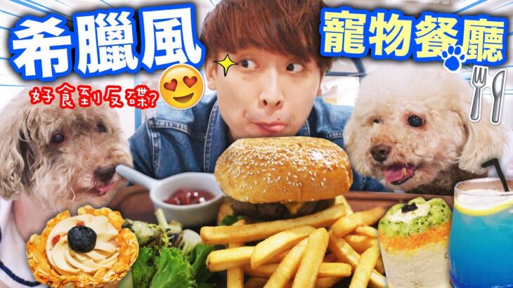 【與寵物歎美食】😍🐶「藍白希臘風」Pet-Friendly餐廳🍴露天吃大餐邊放狗！好食到反碟🤣？！(中文字幕)