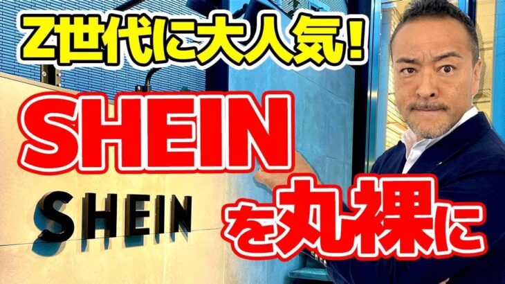 【SHEINのビジネスモデル分析】実践マーケティング講座