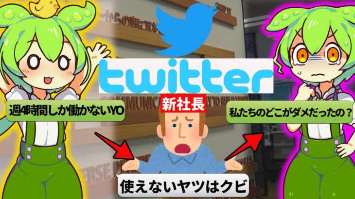 【しくじりSNS】ずんだもんと学ぶ超イケイケ起業家に買収されたTwitterの末路【VOICEVOX解説】