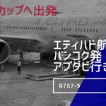 エティハド航空の機内に搭乗。ビジネスクラスの席がとても変わっていて、席の向きが前向きと後ろ向き。。。　お隣は何をしているのかバッチリ見えてしまいます。　という事はこちらの事も丸見え