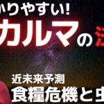 スピリチュアル「カルマの法則･因果応報」食糧危機で虫食？ブルブルマシーンで覚醒と浄化？アーシングの流行？吉濱ツトム